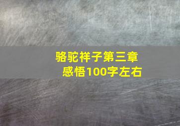 骆驼祥子第三章感悟100字左右