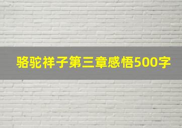 骆驼祥子第三章感悟500字