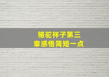 骆驼祥子第三章感悟简短一点