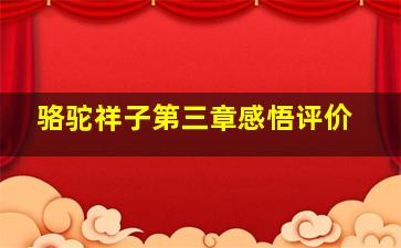 骆驼祥子第三章感悟评价