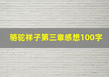 骆驼祥子第三章感想100字