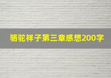 骆驼祥子第三章感想200字