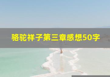 骆驼祥子第三章感想50字