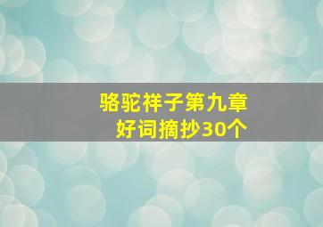 骆驼祥子第九章好词摘抄30个