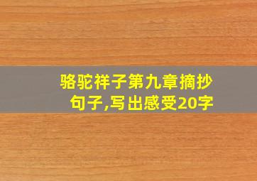 骆驼祥子第九章摘抄句子,写出感受20字