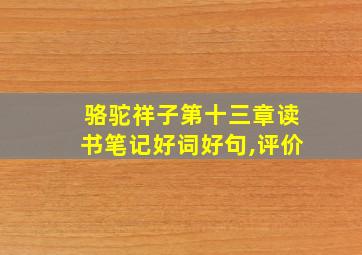 骆驼祥子第十三章读书笔记好词好句,评价