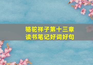 骆驼祥子第十三章读书笔记好词好句