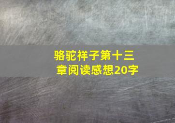 骆驼祥子第十三章阅读感想20字