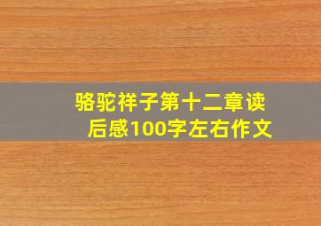 骆驼祥子第十二章读后感100字左右作文