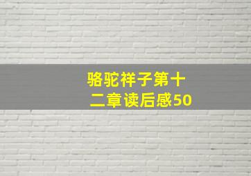 骆驼祥子第十二章读后感50