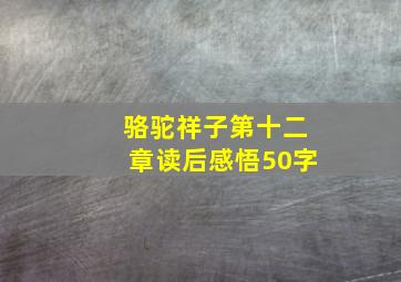 骆驼祥子第十二章读后感悟50字