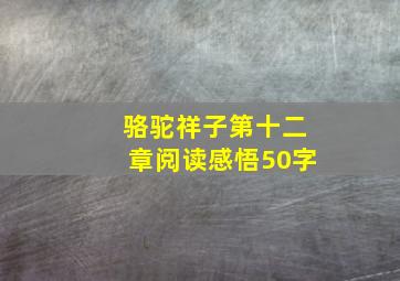 骆驼祥子第十二章阅读感悟50字