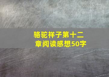 骆驼祥子第十二章阅读感想50字