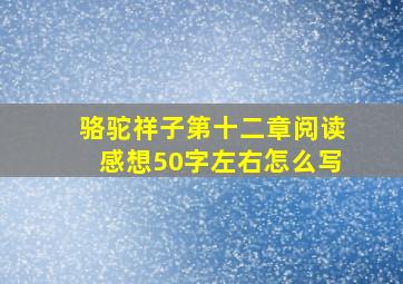 骆驼祥子第十二章阅读感想50字左右怎么写