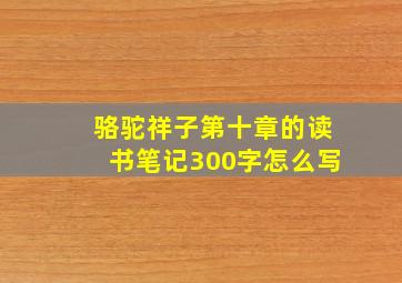 骆驼祥子第十章的读书笔记300字怎么写