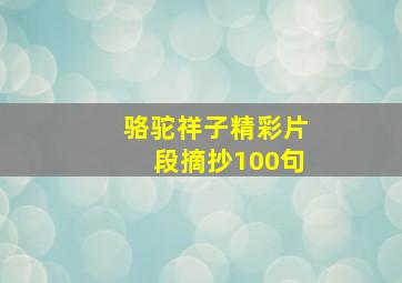 骆驼祥子精彩片段摘抄100句