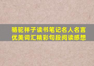 骆驼祥子读书笔记名人名言优美词汇精彩句段阅读感想