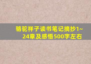 骆驼祥子读书笔记摘抄1~24章及感悟500字左右