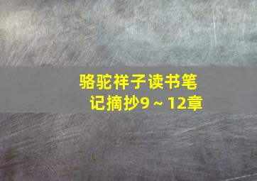 骆驼祥子读书笔记摘抄9～12章