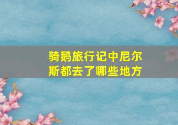 骑鹅旅行记中尼尔斯都去了哪些地方