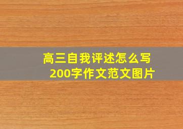 高三自我评述怎么写200字作文范文图片