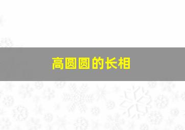 高圆圆的长相