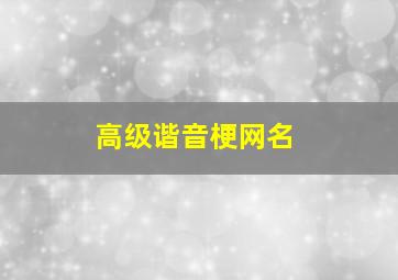 高级谐音梗网名