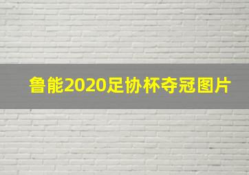 鲁能2020足协杯夺冠图片