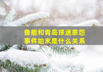 鲁能和青岛球迷恩怨事件始末是什么关系