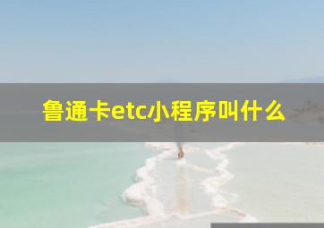 鲁通卡etc小程序叫什么