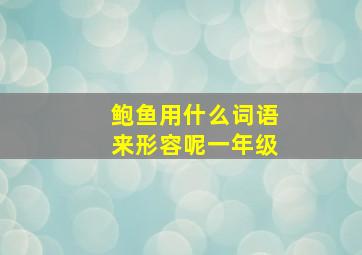 鲍鱼用什么词语来形容呢一年级