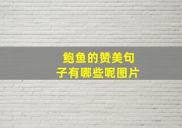 鲍鱼的赞美句子有哪些呢图片