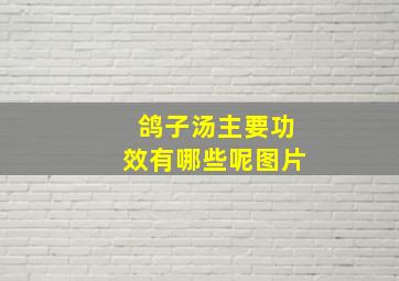 鸽子汤主要功效有哪些呢图片