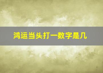 鸿运当头打一数字是几