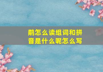 鹬怎么读组词和拼音是什么呢怎么写