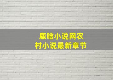 鹿晗小说网农村小说最新章节