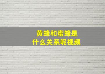 黄蜂和蜜蜂是什么关系呢视频