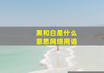 黑和白是什么意思网络用语