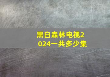 黑白森林电视2024一共多少集