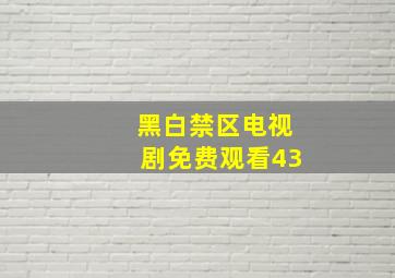 黑白禁区电视剧免费观看43