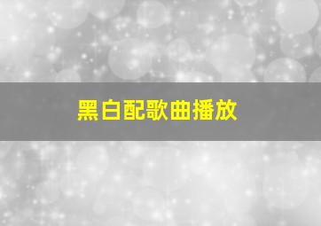 黑白配歌曲播放