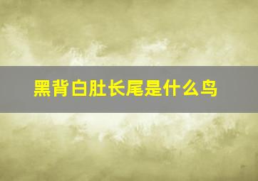 黑背白肚长尾是什么鸟