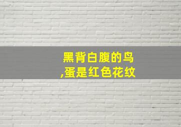 黑背白腹的鸟,蛋是红色花纹