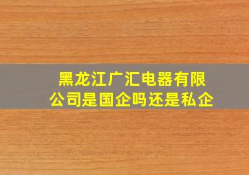 黑龙江广汇电器有限公司是国企吗还是私企