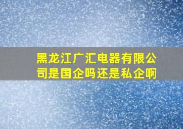 黑龙江广汇电器有限公司是国企吗还是私企啊