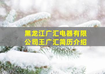 黑龙江广汇电器有限公司王广汇简历介绍