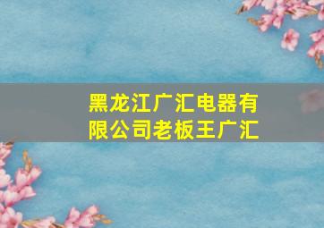 黑龙江广汇电器有限公司老板王广汇