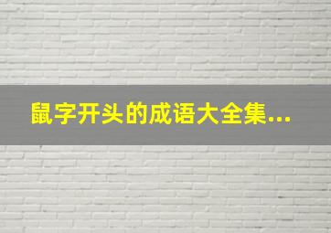 鼠字开头的成语大全集...