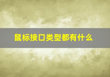 鼠标接口类型都有什么