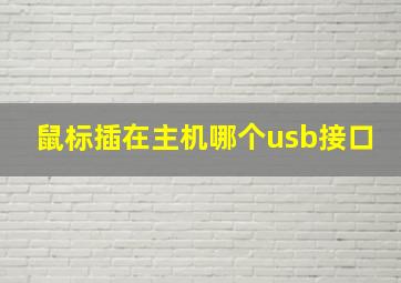 鼠标插在主机哪个usb接口